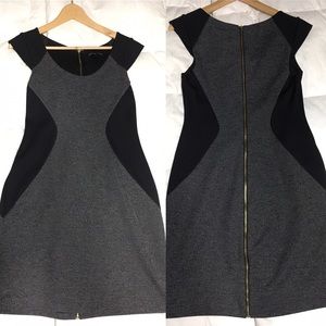 Express Bodycon dress with full length zipper